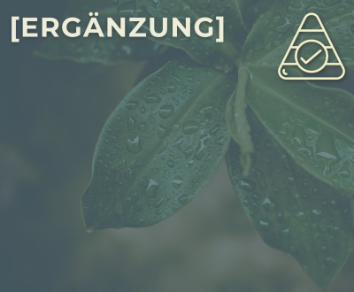 Sportyknee_Ernaehrung_Ergaenzung_2