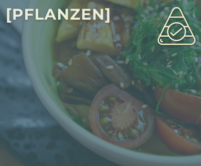 Sportyknee_Ernaehrung_Pflanzen_2